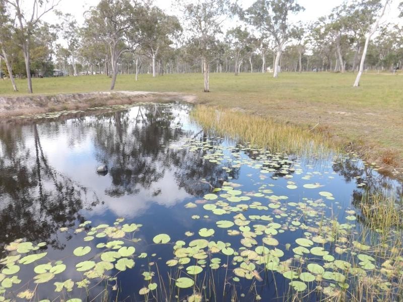 1362 Buxton Road, Buxton QLD 4660