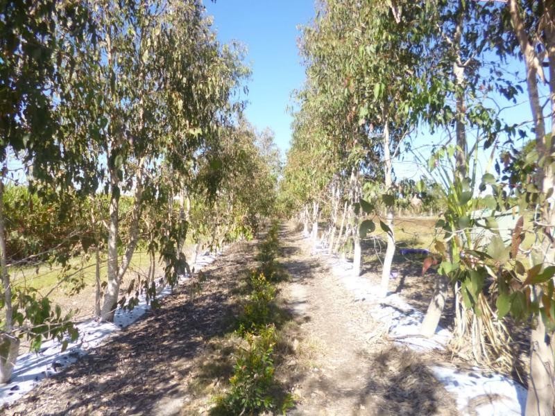 North Gregory QLD 4660