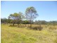Horton QLD 4660