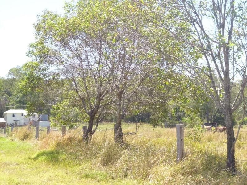 Horton QLD 4660