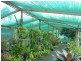 Doolbi QLD 4660