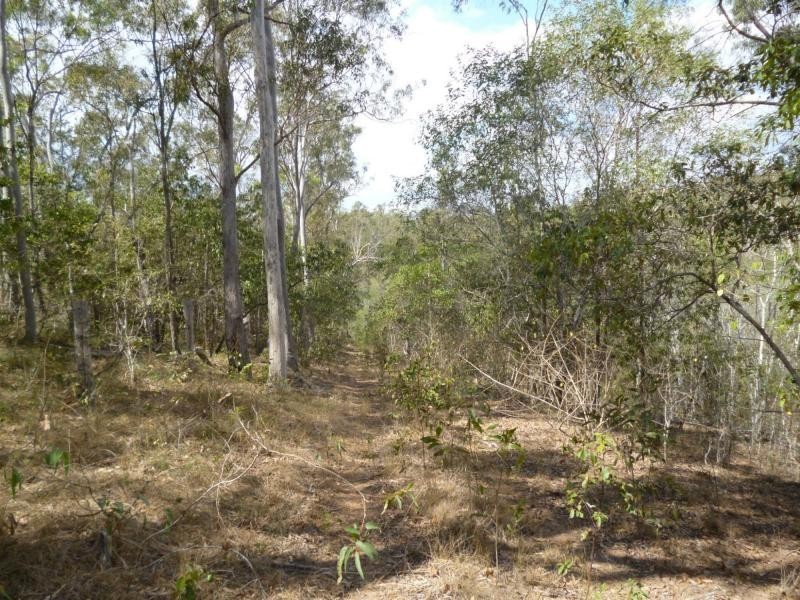 830 Perry River Farms Road, Gin Gin, Morganville QLD 4671