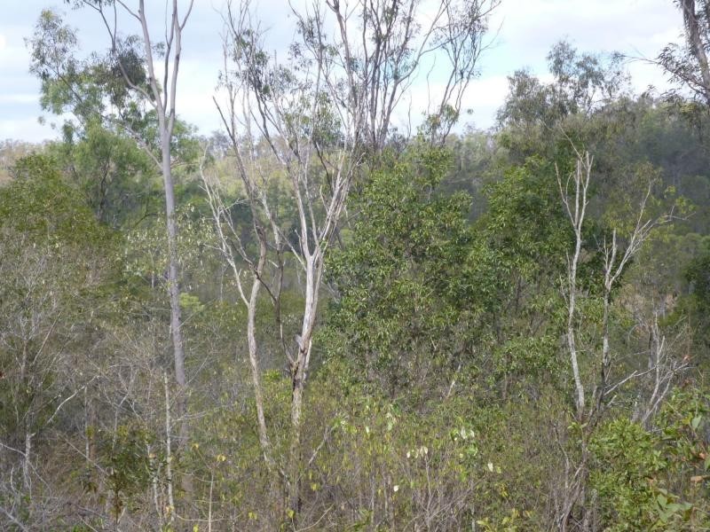 830 Perry River Farms Road, Gin Gin, Morganville QLD 4671