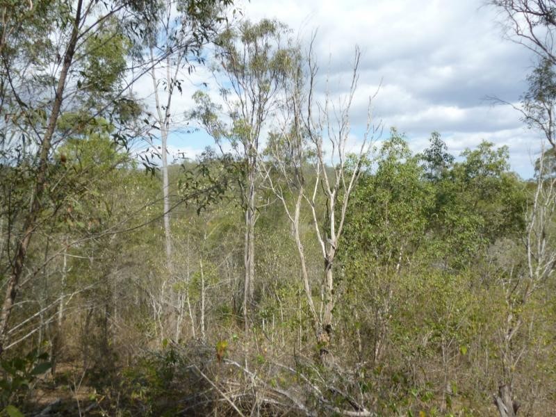 830 Perry River Farms Road, Gin Gin, Morganville QLD 4671