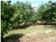 Childers QLD 4660