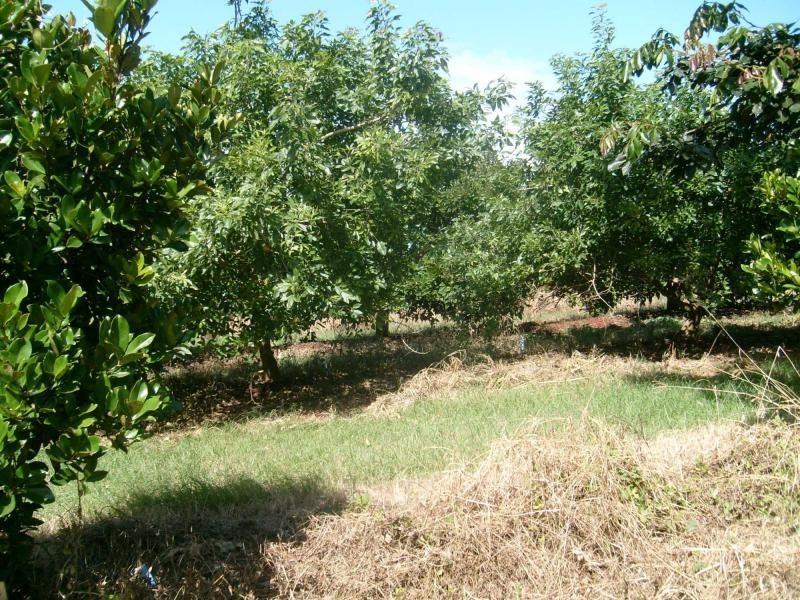 Childers QLD 4660
