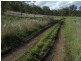 Dallarnil QLD 4621