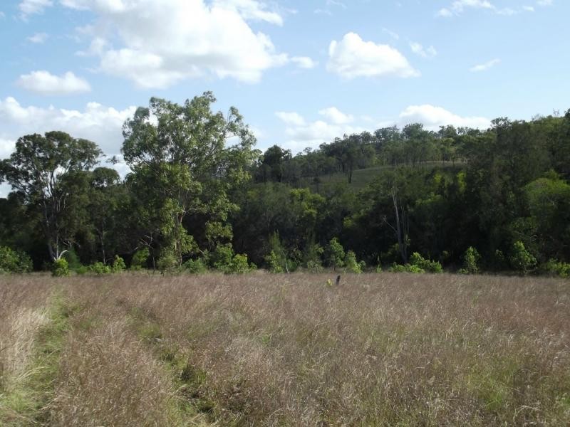 Dallarnil QLD 4621
