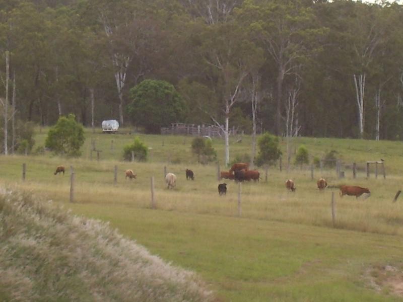 Apple Tree Creek QLD 4660