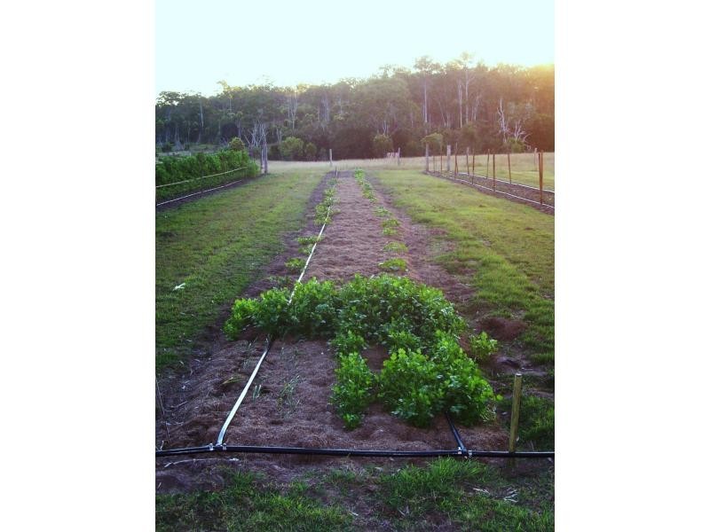 Apple Tree Creek QLD 4660