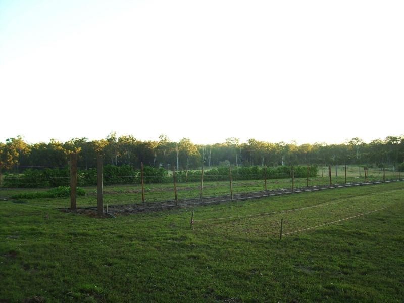 Apple Tree Creek QLD 4660