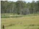 Apple Tree Creek QLD 4660