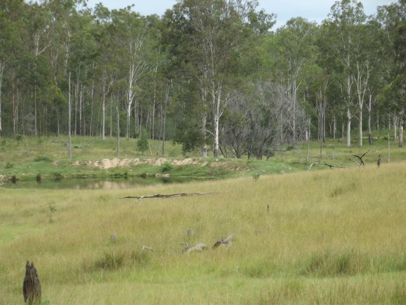 Apple Tree Creek QLD 4660
