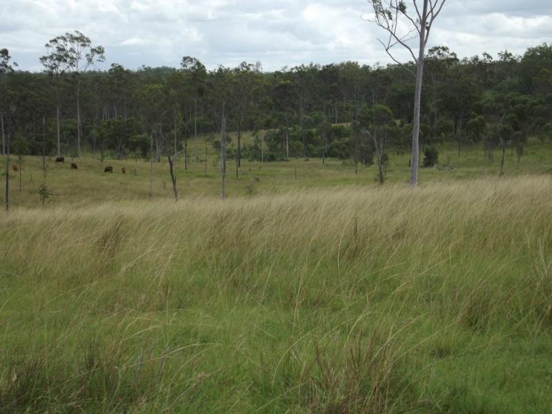 Apple Tree Creek QLD 4660
