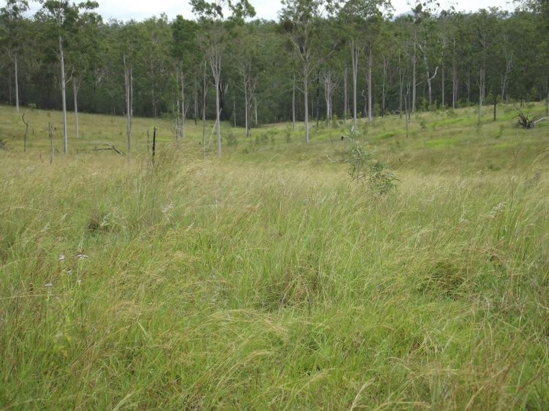Apple Tree Creek QLD 4660