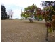Goodwood QLD 4660