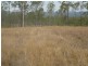 Horse Camp QLD 4671