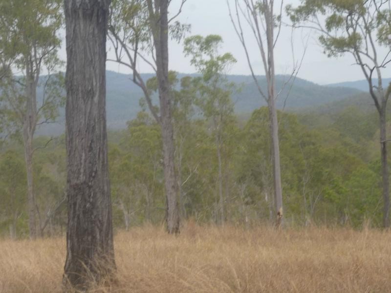 Horse Camp QLD 4671