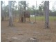 Horse Camp QLD 4671