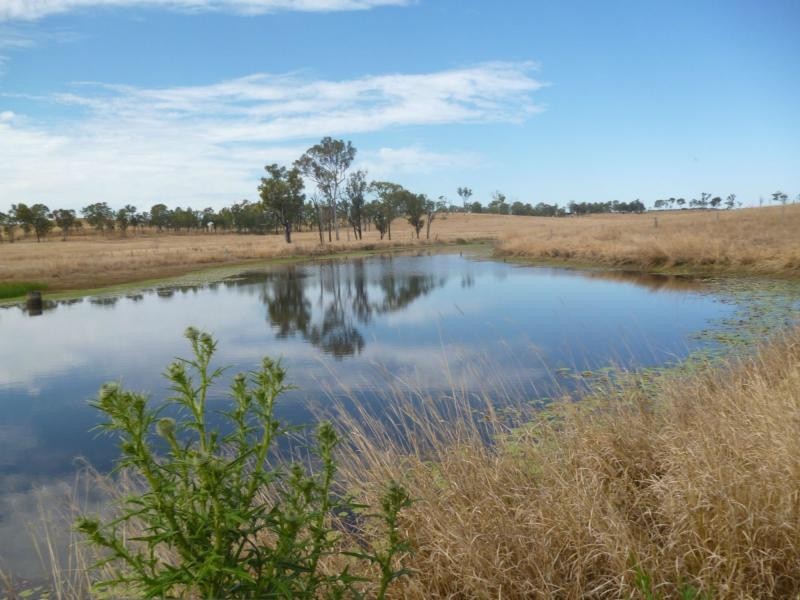 281 Causeway Road, Booyal QLD 4671