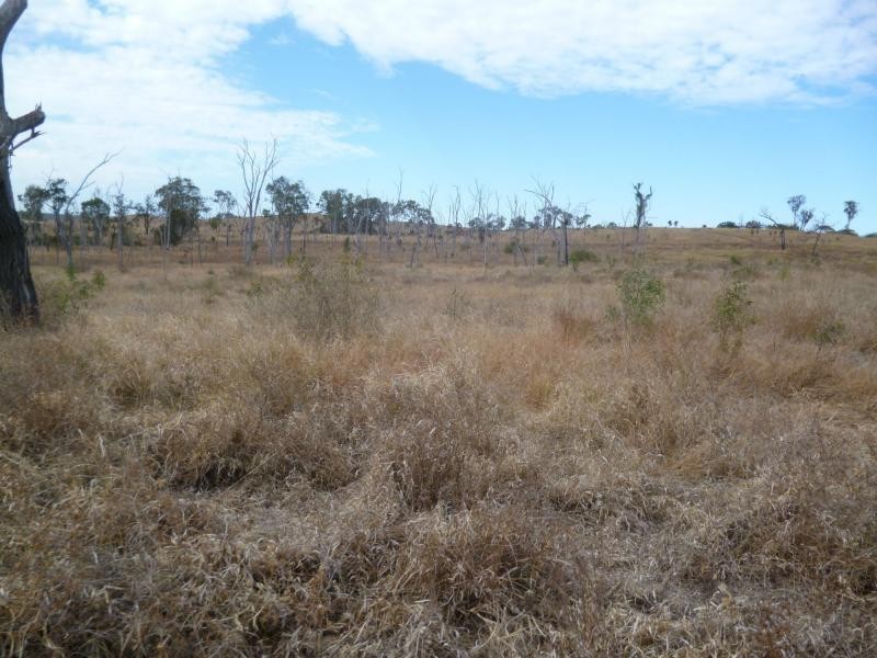 281 Causeway Road, Booyal QLD 4671