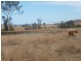 281 Causeway Road, Booyal QLD 4671