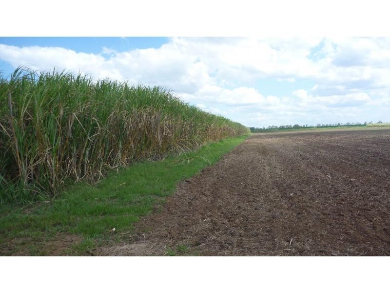 Farnsfield QLD 4660