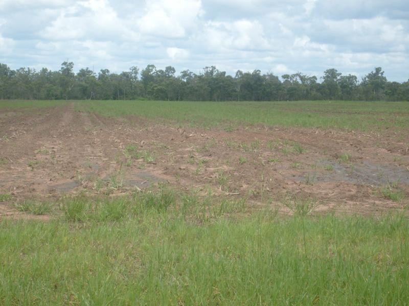 Redridge QLD 4660