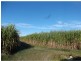 Redridge QLD 4660