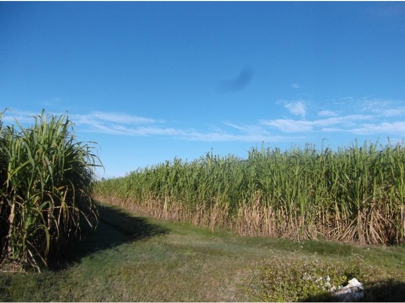 Redridge QLD 4660