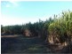Redridge QLD 4660