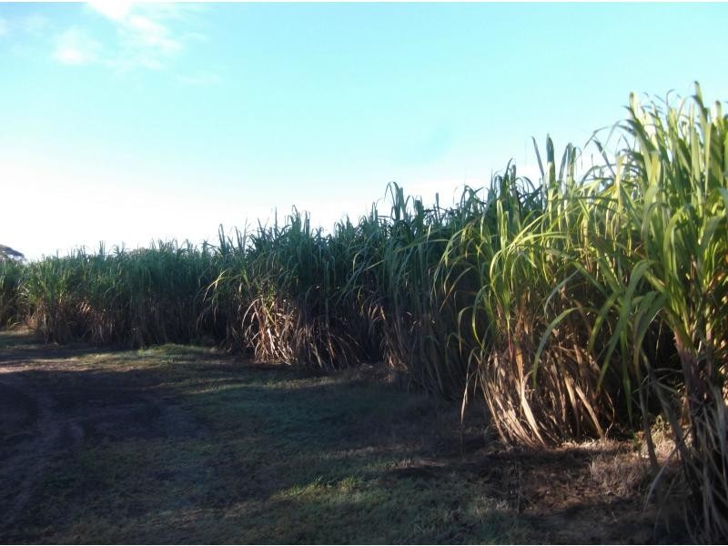 Redridge QLD 4660