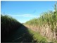 Redridge QLD 4660
