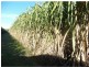 Redridge QLD 4660