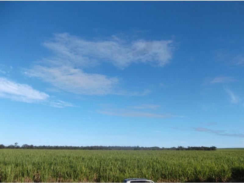 Redridge QLD 4660