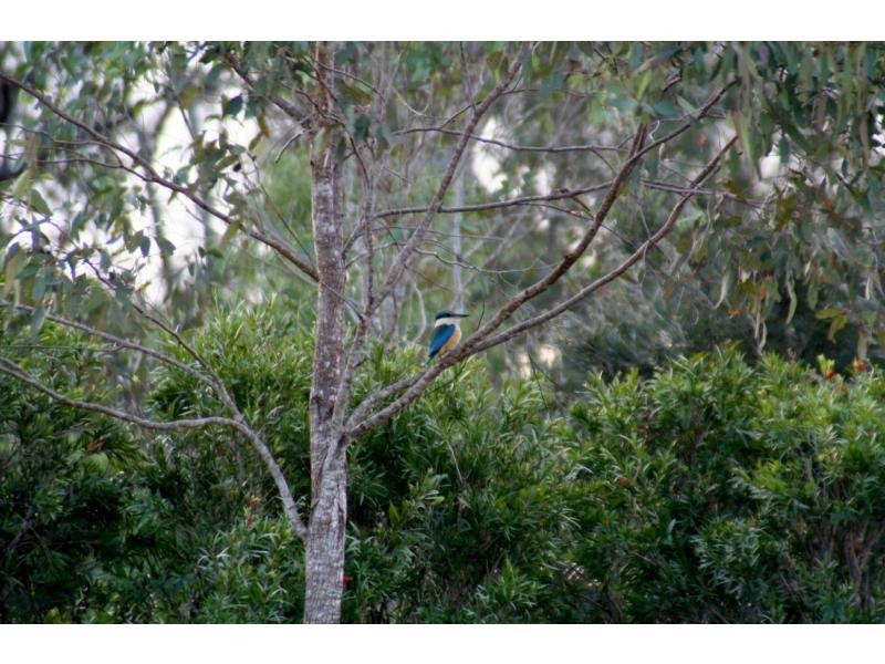 Apple Tree Creek QLD 4660