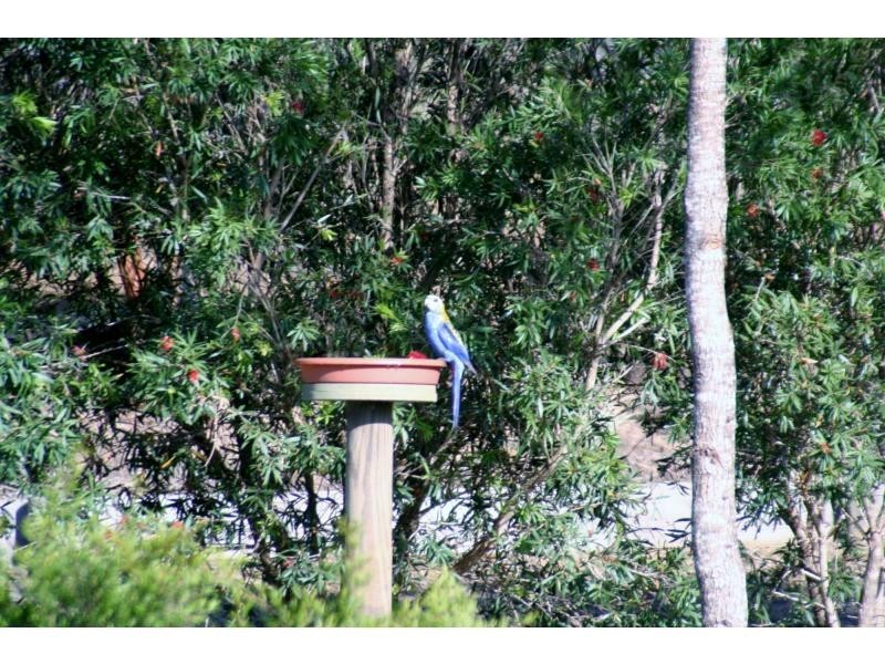 Apple Tree Creek QLD 4660