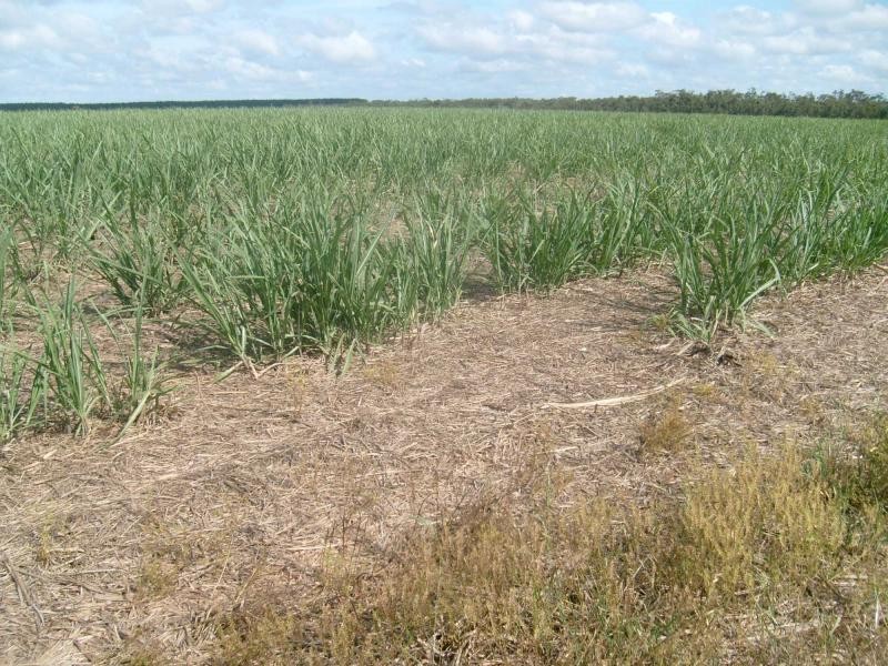 North Gregory QLD 4660