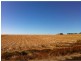 349 Knockroe Road, North Isis QLD 4660
