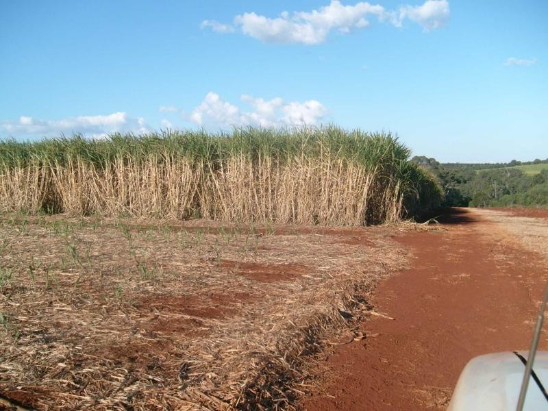 Isis Central QLD 4660