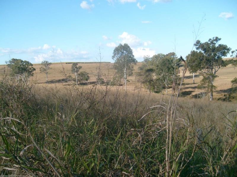 Isis Central QLD 4660