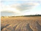 Alloway QLD 4670