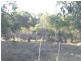 L22 North Isis Road, Childers, North Isis QLD 4660
