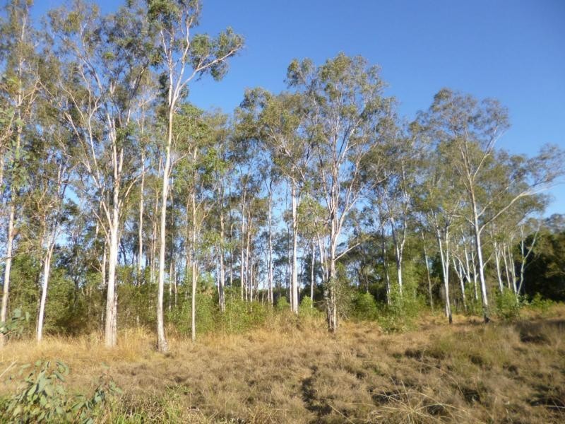 L22 North Isis Road, Childers, North Isis QLD 4660