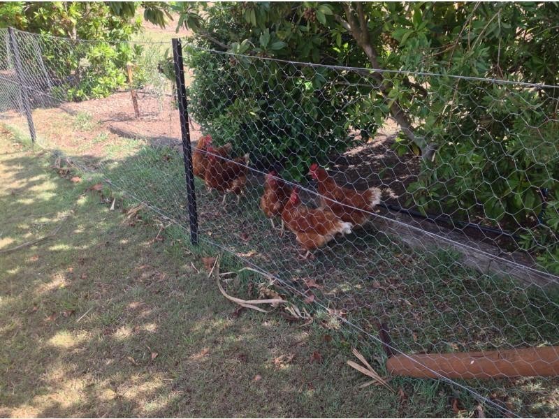 Cordalba QLD 4660