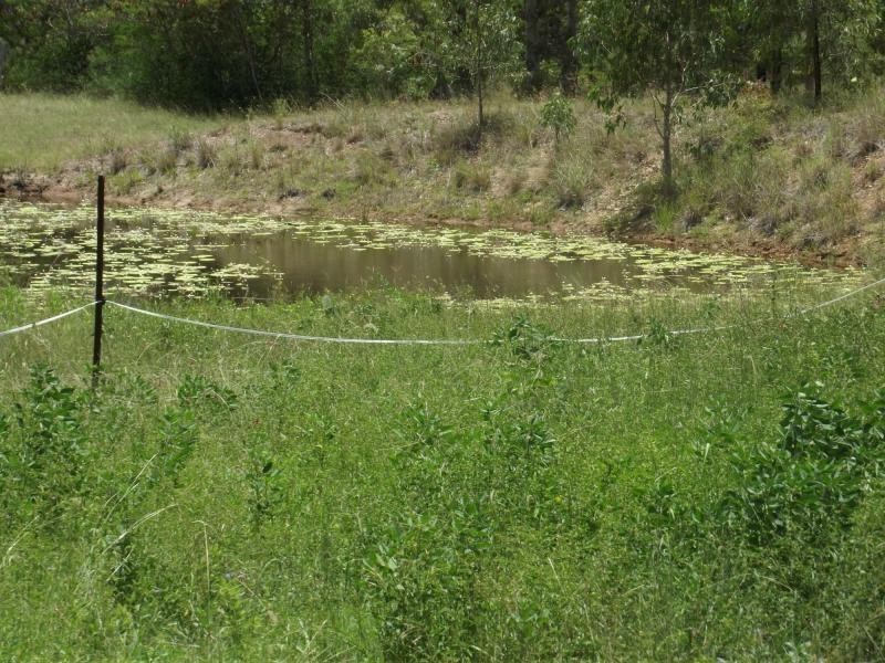 515 Mt Woowoonga Road, Woowoonga QLD 4621