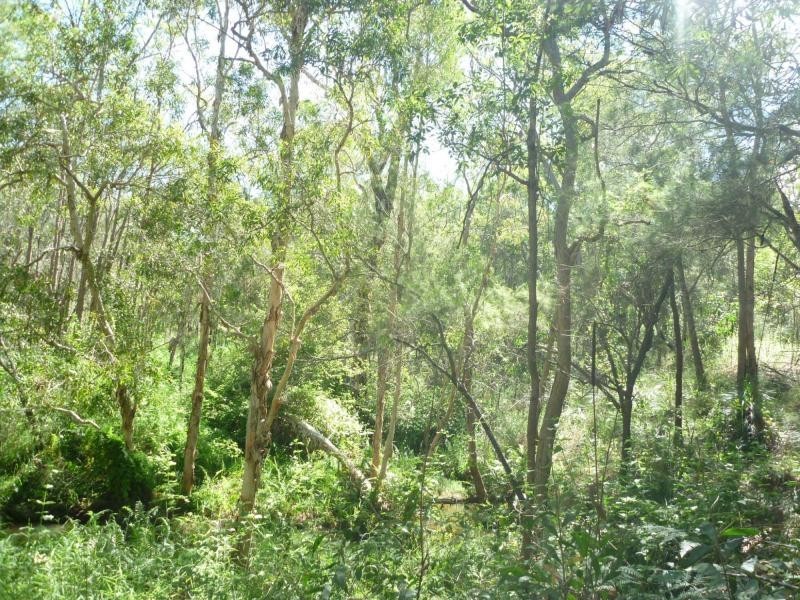 Cordalba QLD 4660