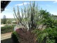 Cordalba QLD 4660