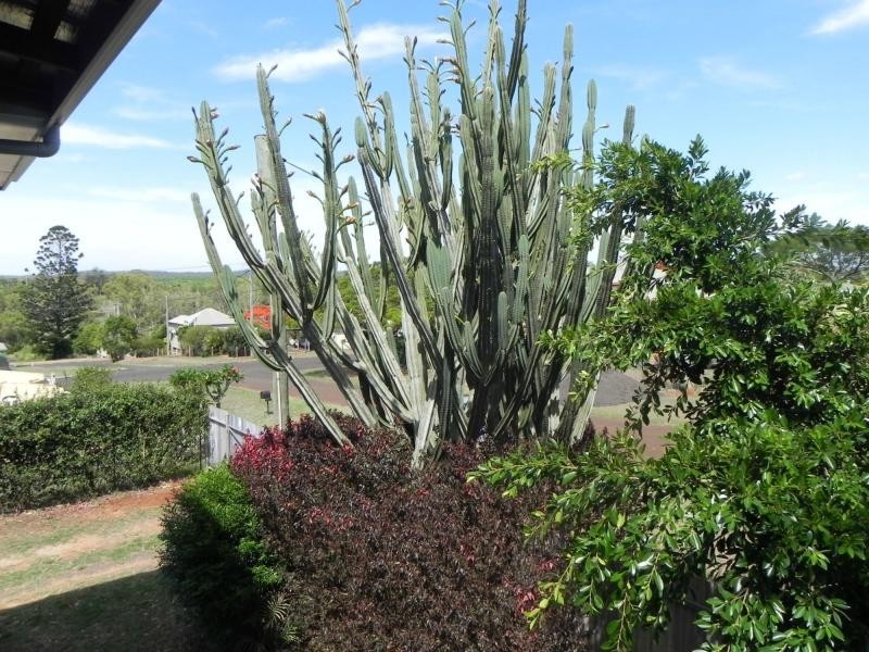 Cordalba QLD 4660