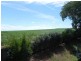 Cordalba QLD 4660